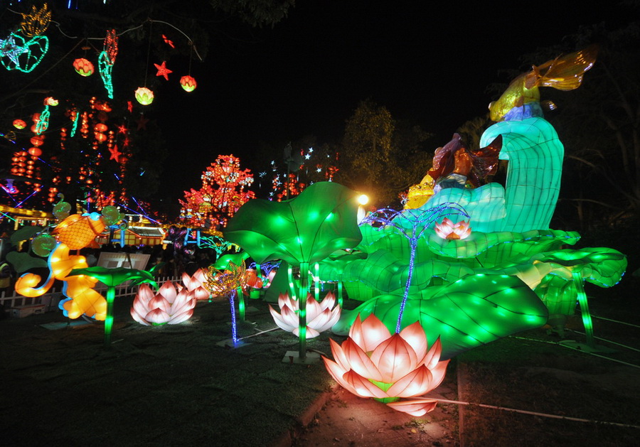 傳統(tǒng)花燈 (5)