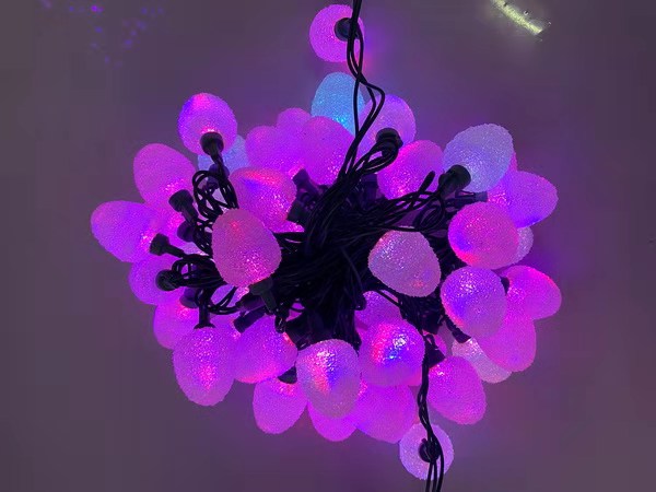 彩燈燈串 (5)